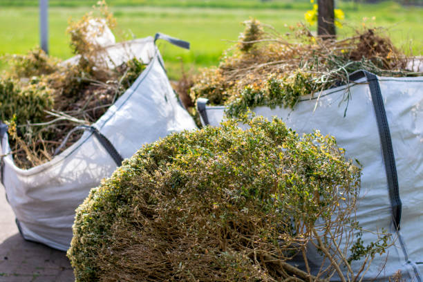 Best Attic Cleanout Services  in Norris, TN